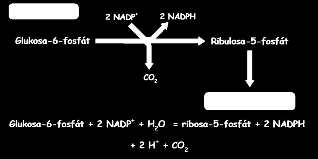 Potřeba NADP a