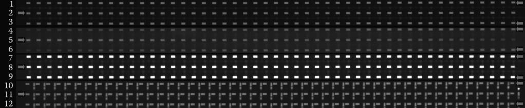 Dye-Based High-Throughput qpcr in Microfluidic Platform BioMark 333 Table 23.