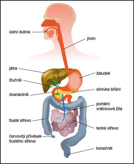 molekuly (monomery) -