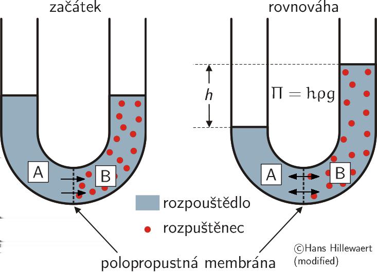 Osmóza 9/18 Membrána propou¹tí rozpou¹tìdlo (pøíp. i malé molekuly).