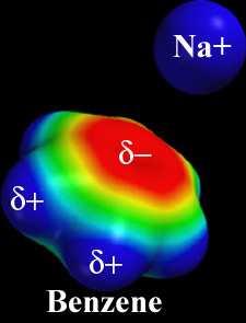 Intermolecular interactions Kation - π NH 2 OH F Cl