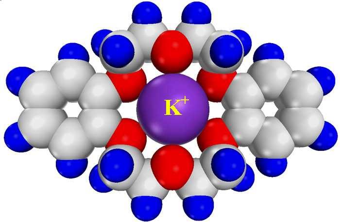 The early pioneers the fathers of supramolecular chemistry The Nobel prize in chemistry 1987: for their development and use of molecules with