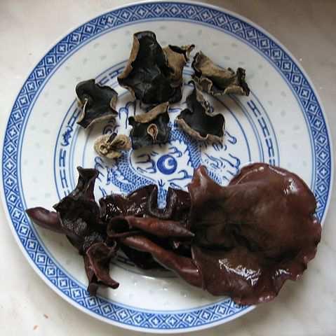 Třída Agaricomycetes Řád Auriculariales Auricularia (ušíčko) černé houby pěstované převážně na Taiwanu používají se v čínských