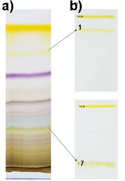 Obr. 4.5. Produkty fototerapie bilirubinu. a) celková TLC separace b) Nejdůležitější fotoderiváty 1 a 7 byly rechromatografovány s nekonjugovaným bilirubinem.