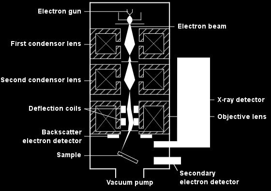 Většina elektronových mikroskopů je schopna produkovat svazek elektronů, jehož průměr je menší než 10nm. [19, 20] Tento svazek může být fokusován elektrostatickým či magnetickým polem.