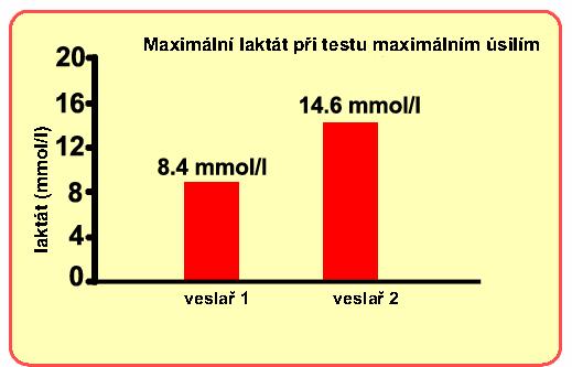 Testování anaerobního systému Dva veslaři lehké váhy.