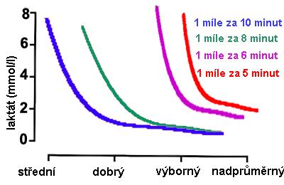 Běžci, kteří dokázali zaběhnout míli za 6 minut, běželi potom 1 míli tempem 1 míle za 5 minut. Někteří běžci s výbornou aerobní kondicí nedokázali tento běh dokončit, zbylí měli velké těžkosti.