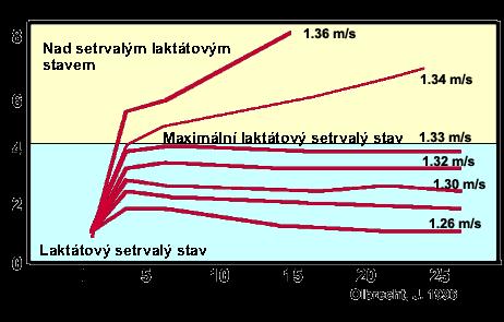 Maximální rychlost nebo úsilí, které dokáže sportovec udržet delší časové období (20 a více minut), aniž by došlo ke zvyšování laktátu.