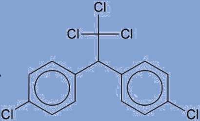 odolné vůči oxidaci, poločas rozkladu přes 10 let ovlivňují reprodukční schopnosti DDT vynikající insekticidní