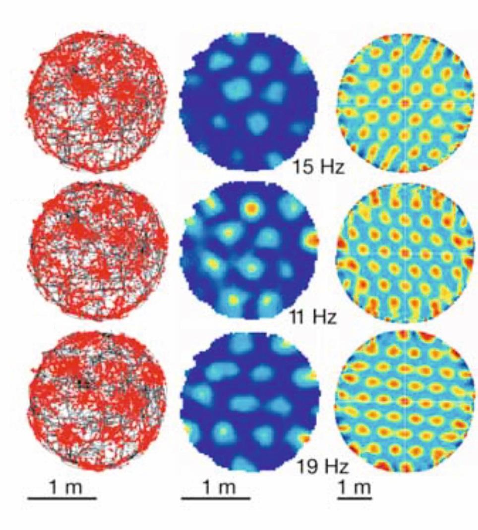 (grid cells)