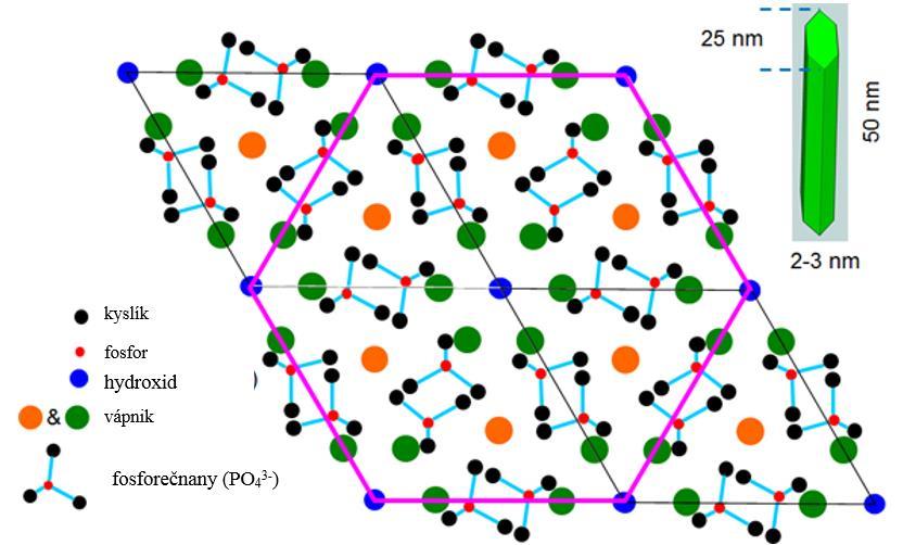HYDROXYAPATIT ortofosforečnan vápenatý kryštálová jednotka HA dve molekuly Ca 5 (PO 4 ) 3 OH