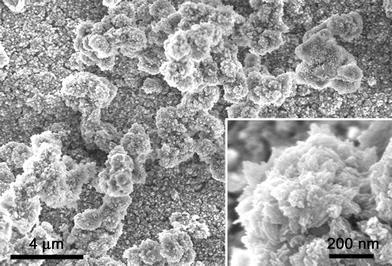 vysokej chemickej stabilite nízka rozpustnosť vo vode vysoký špecifický merný povrch dobrým