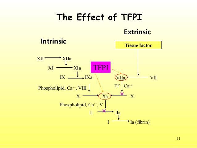 Tissue Factor Pathway Inhibitor lipoprotein-associated coagulation inhibitor (LACI) nebo extrinsic pathway inhibitor TFPI je primární inhibitor