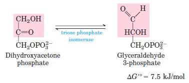 Glykolýza a analogie s organickými reakcemi 5.