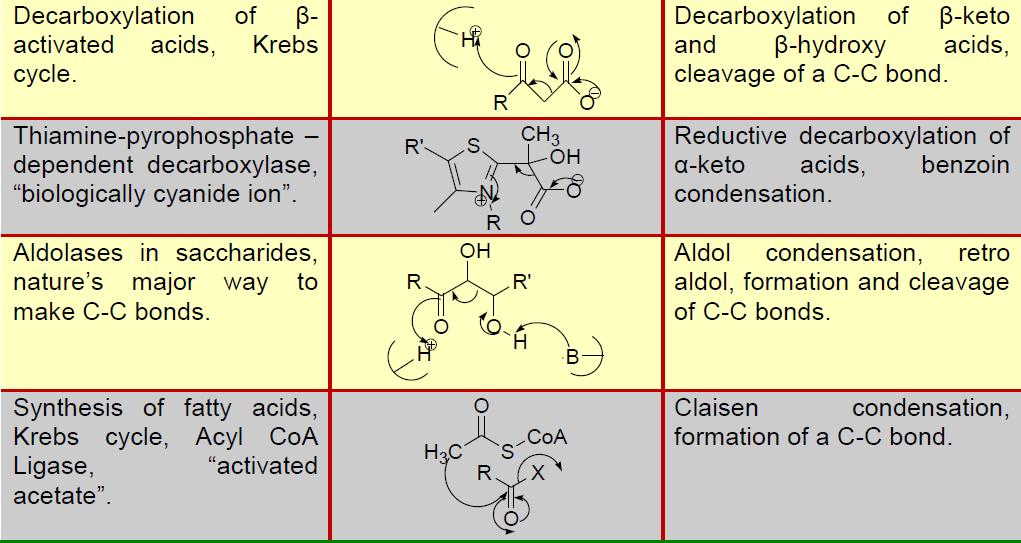 Biochemické reakce a jejich