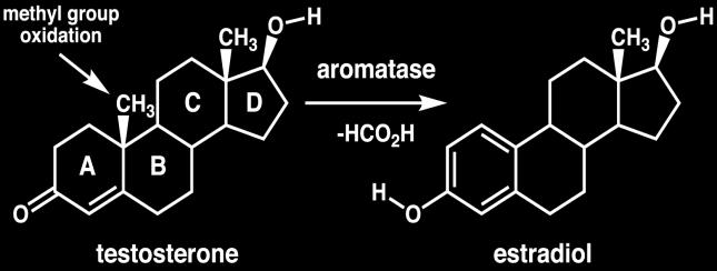 cytochromoxidasy P-450.