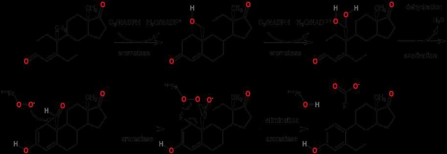 Aromatizace Třístupňová oxidace