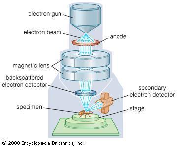 Elektronický mikroskop: Využíva ako zdroj iluminácie prúd
