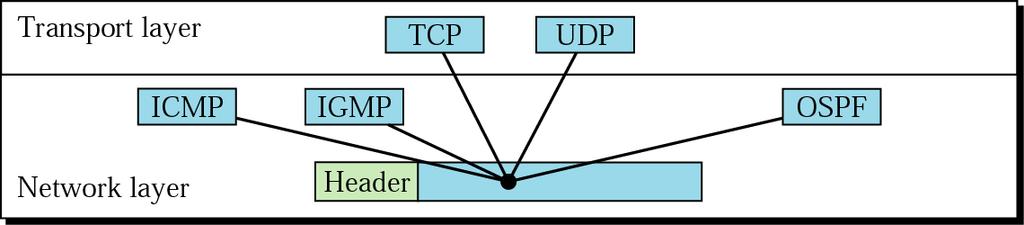 IPv4 datagram III.