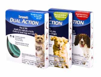 Protein Bites