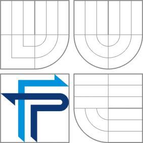 ELEKTRONICKÉHO OBCHODU FIRMY PROPOSITION STRATEGY E-COMMERCE OF COMPANY DIPLOMOVÁ PRÁCE