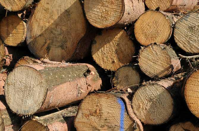 The Czech Republic continues to lag behind advanced EU countries in the use of timber in the construction industry.