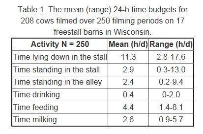 Nigel Cook Kuh Verhalten Tabulka 1: Průměrné délky činností (rozmezí) během 24 hodin u 208 krav nafilmovaných během více než 250 časových úseků ve stájích s volným