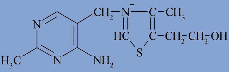 kloubních a žilních zánětů Thiazol je součástí molekuly thiaminu