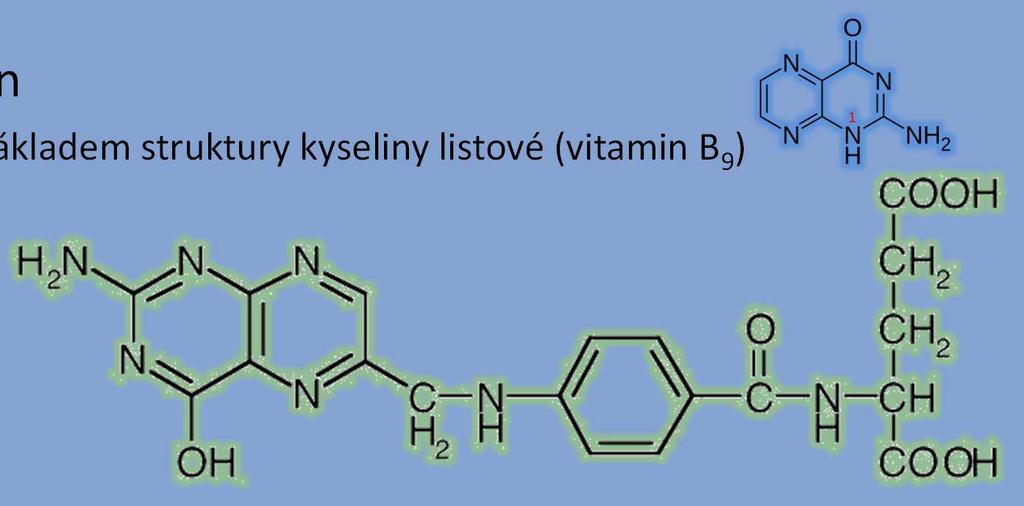z tryptofanu a musíme je tedy přijímat potravou pyridoxin (vitamin B 6 ) Pyrimidin a purin základ