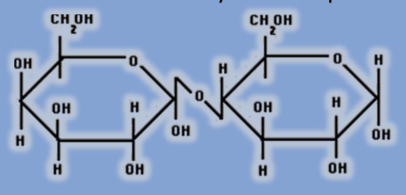 Sacharidy Disacharidy laktosa součást výživy savců při kojení; lidské mléko obsahuje 7% tohoto sacharidu je