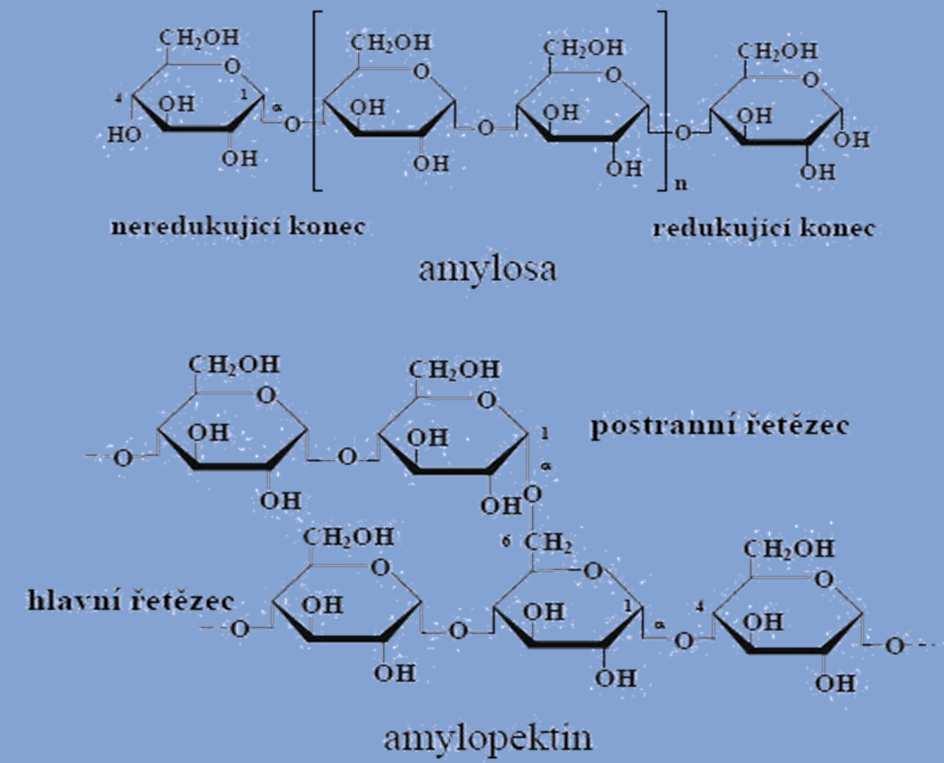 Sacharidy Polysacharidy představují největší podíl sacharidů v přírodě; sestaveny i z tisíců zákl.