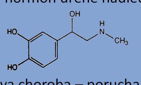 Dusíkaté deriváty Fyziologicky významné aminy katecholaminy jako transmitéry adrenergních neuronů postgangliového sympatiku (např.