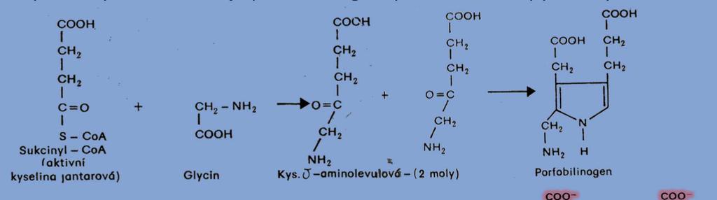 Heterocykly cyklické organické sloučeniny v jejichž kruhu je jeden nebo více atomů uhlíku nahrazeno jiným atomem, nejčastěji kyslíkem, dusíkem nebo