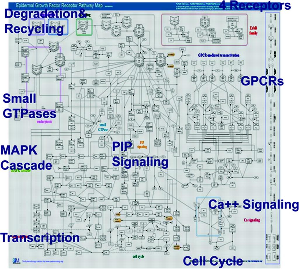 Signaling complexity: The engineering perspective.