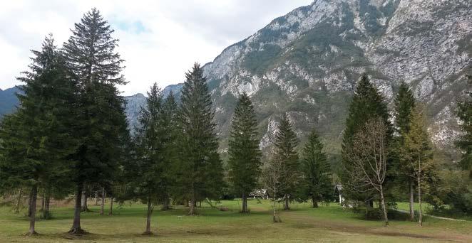 Zbornica se brzo zagrijala, zasukali smo rukave i kroz koji dan osvane prijedlog: Bled i Bohinj u nedjelju 27. rujna.