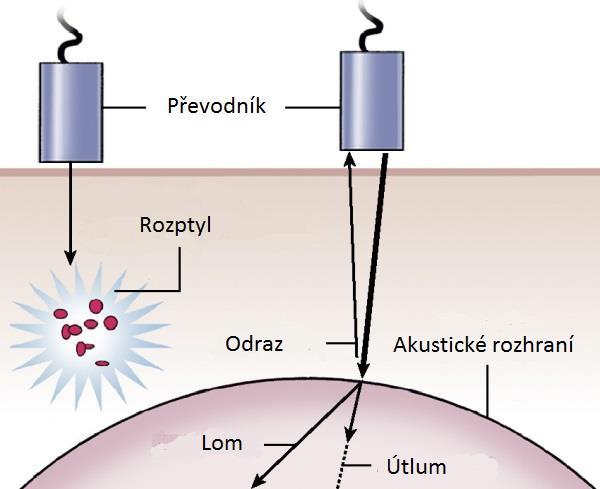 Interakce vlnění s prostředím Akustická impedance prostředí závisí na jeho hustotě a rychlosti s jakou vlnění tkání prostupuje Množství akustické energie odražené na akustickém rozhraní závisí na