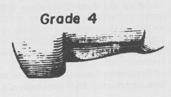 vazů Grade III - viditelná pouze