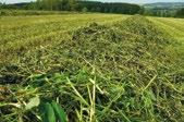 dlouhodobé využití 5 6 roků raná směs, při intenzivním hnojení poskytne maximální výnos píce Doporučení: Pro výsev zvolte secí stroj s výsevným ústrojím vhodným pro setí trav.