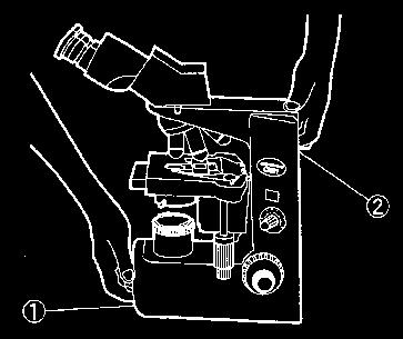 Transport mikroskopu Při jakémkoli přemisťování je nutné mikroskop držet oběma rukama na dvou určených místech (1, 2).