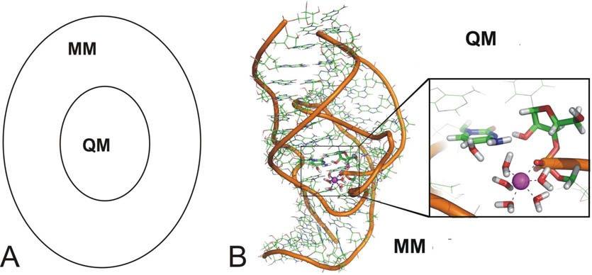 QM/MM