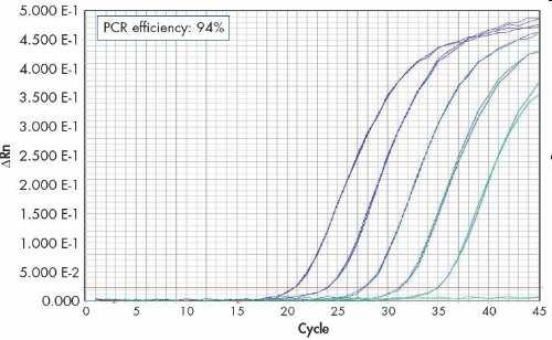 plikace FRET - Real-time PCR http://www.qiagen.