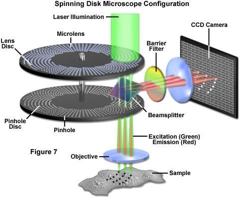 Princip spinning-disk