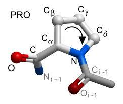 NMR - přiřazení přiřazení NMR signálů jednotlivým atomům v molekule (nutnost znát sekvenci) 1. přiřazení hlavního řetězce (H N, N, H α, C α, CO) 2.