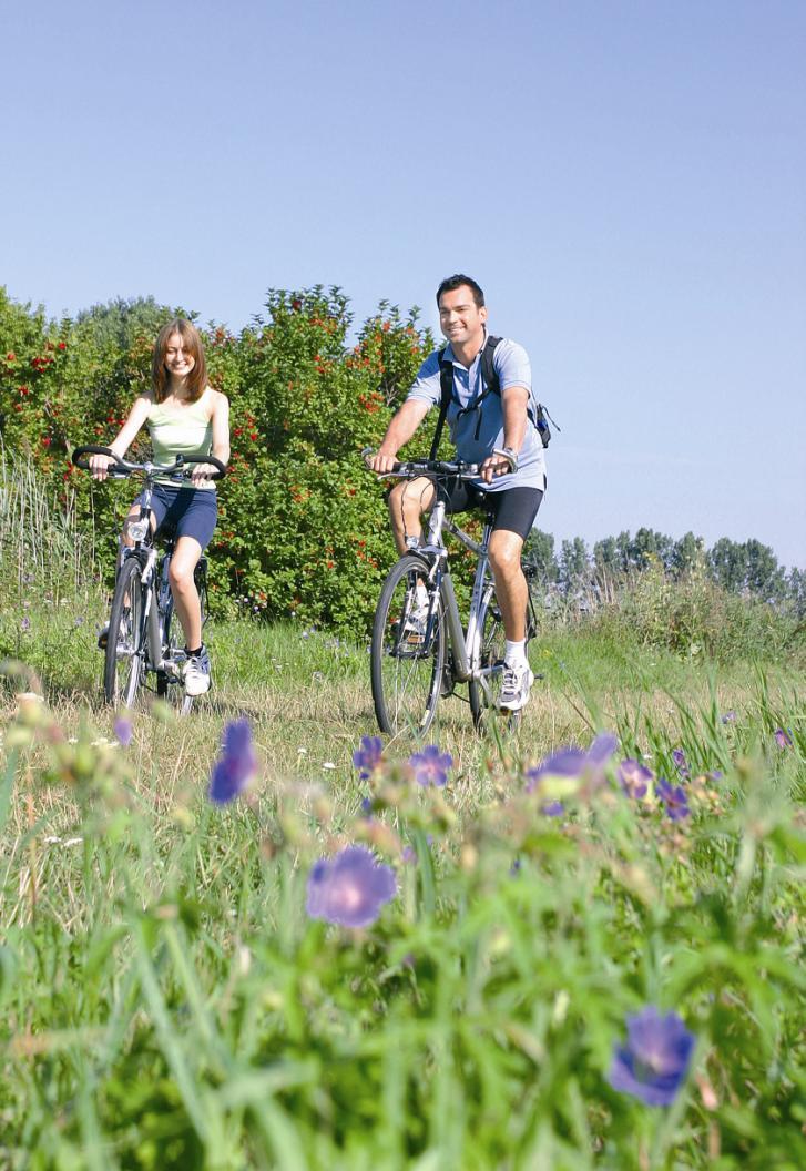 Land um Laa CYKLOTÚRY Mierne