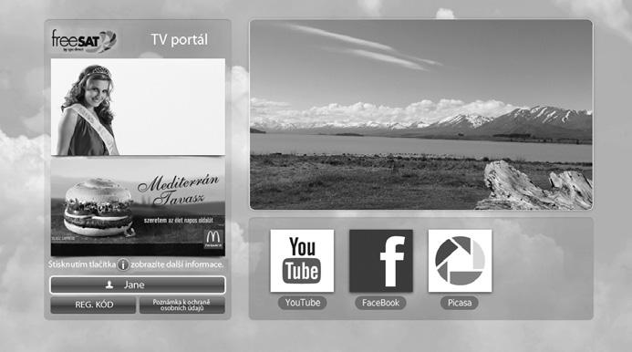 TV Portal TV Portal Služba TV Portal umožňuje využití služeb následného sledování pořadů a různých webových aplikací. Službu TV Portal můžete spustit několika způsoby. Stiskněte tlačítko TV Portal.