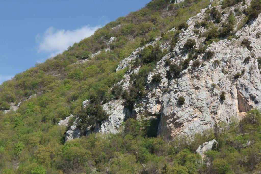 Severní a Střední Apeniny Velino Antrodoco, Quercus