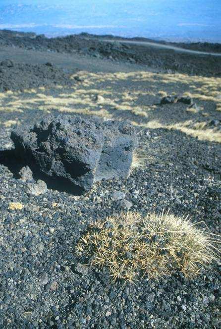 Etna