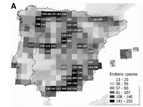 Pyrenejský poloostrov Iberské endemity Všechny endemity