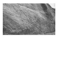 SKALNÍ UMĚNÍ pozdní paleolit a epipaleolit SKALNÍ UMĚNÍ pozdní paleolit a epipaleolit lokality: Qurta pozdní paleolit