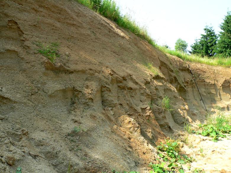 Jak v původní, tak v této pískovně hnízdily břehule po celou dobu její existence. Kolonie břehulí v pískovně Třebeč setrvale rostla aţ do roku 1995, kdy dosáhla 884 nor.